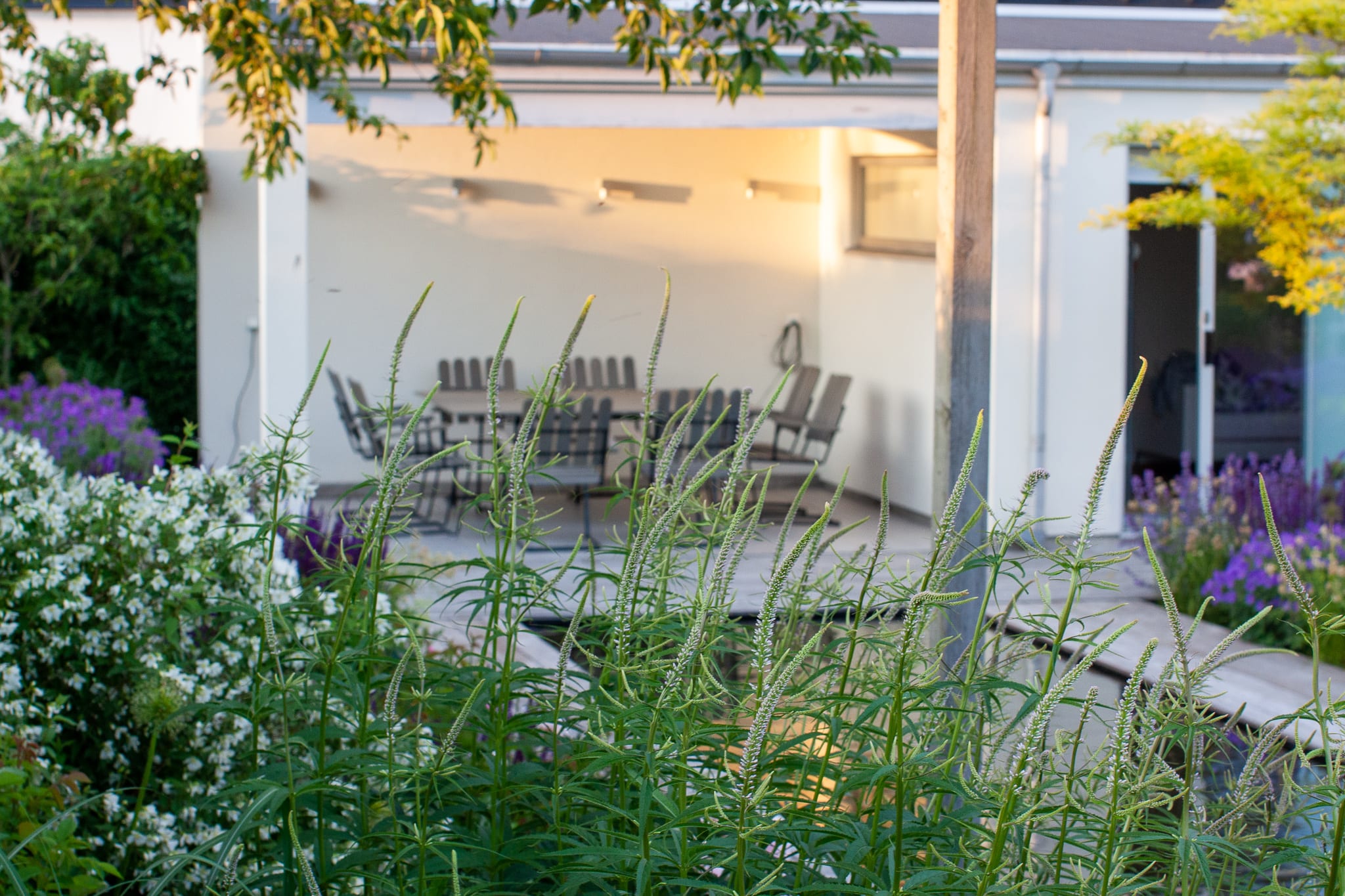 Trädgårdsdesign och arkitekttjänster, Levins Trädgård och Design.
